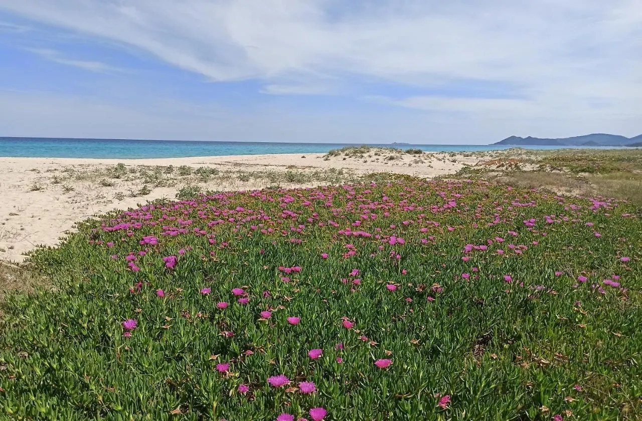קוסטה ריי Casa Perla Rei - 50 Meters From The Beach בית נופש